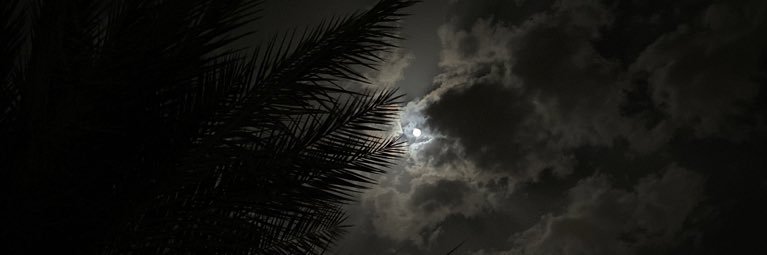 MDswailem's profile banner image