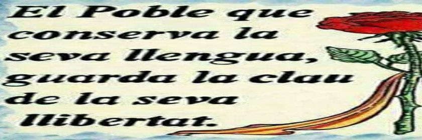 Shiba Sel·ló ‼⭐‼ 1-O SÍ.✡️ banner