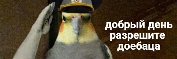 Сам себе аниматор banner