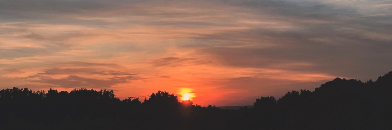 Fedorovnaa's profile banner image