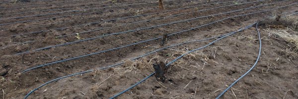 WesongaJonathan Profile Banner