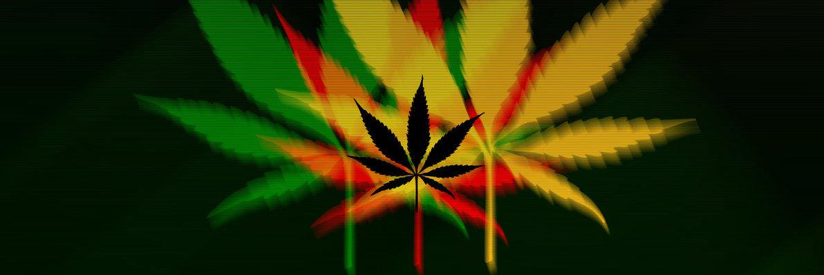 LegalizeIt102's profile banner image