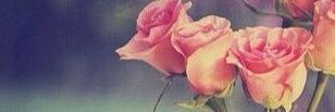 OOCO_rr's profile banner image