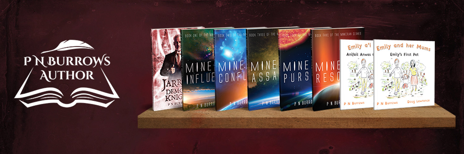 ꧁•⊹٭𝙿 𝙽 𝙱𝚞𝚛𝚛𝚘𝚠𝚜٭⊹•꧂ banner