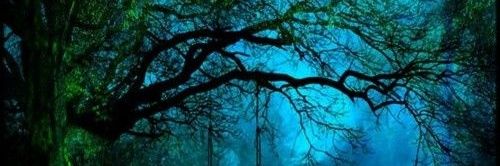 Franny_nl's profile banner image