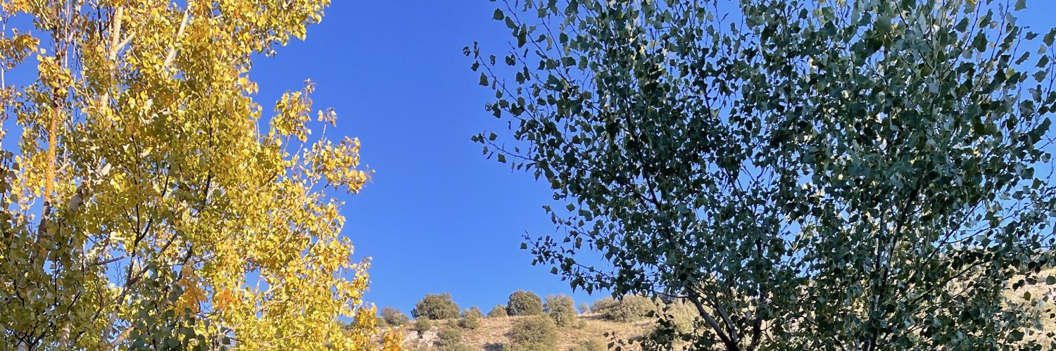 enturre's profile banner image