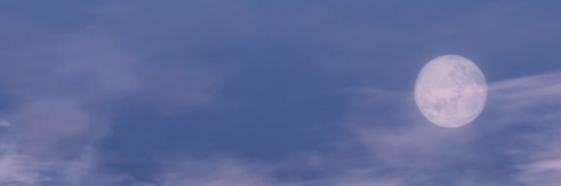 siolemon99's profile banner image