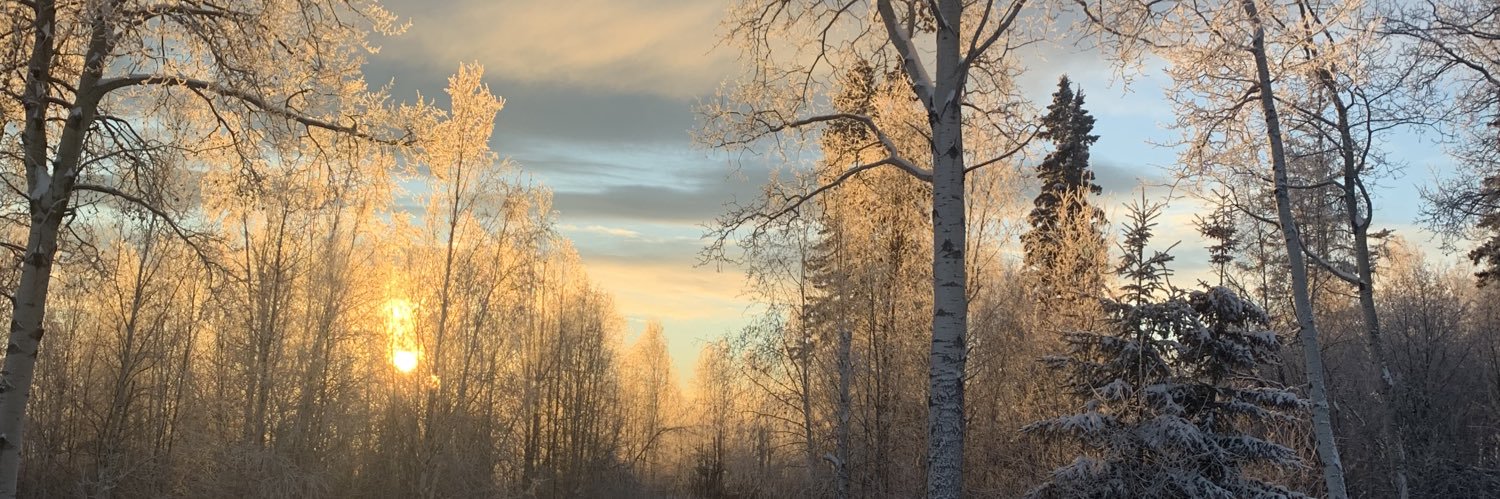 CDNcatskinner's profile banner image