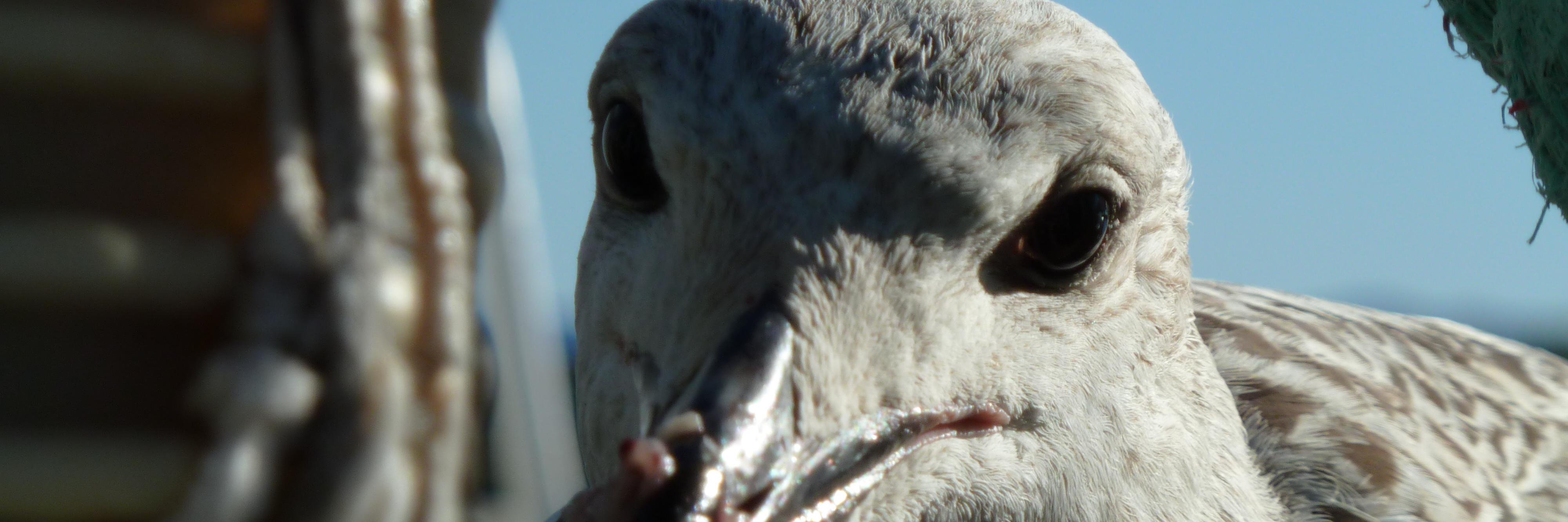 arnerensvik's profile banner image