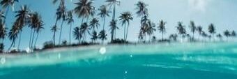 roxanaccg_'s profile banner image