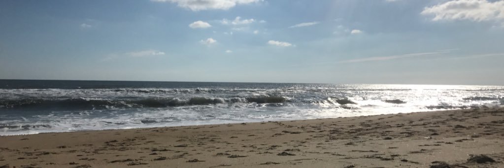 shanners8's profile banner image