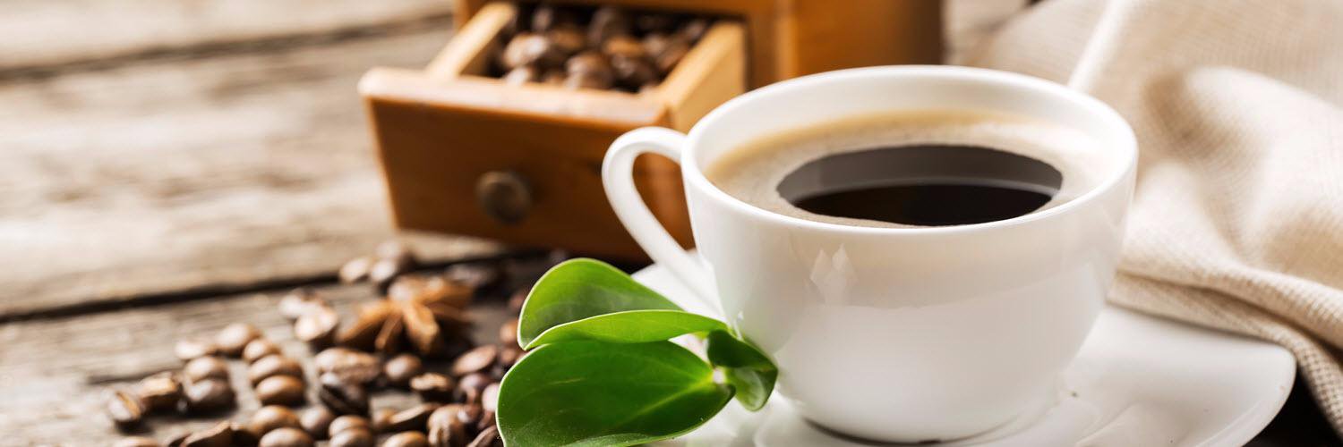 Cecelia Taylor banner