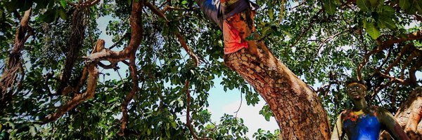 KLMSchwarz Profile Banner