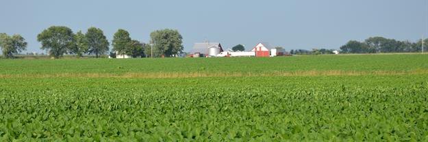 AgricultureHack's profile banner image