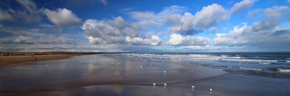 janey_911's profile banner image