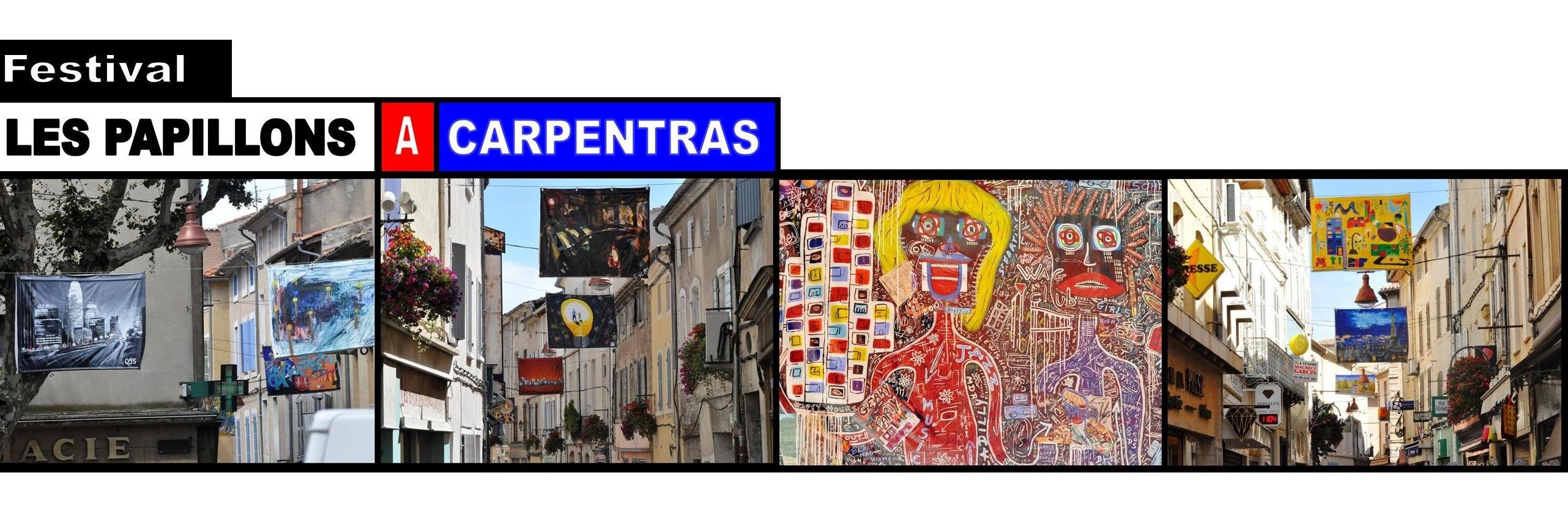 LESPAPILLON's profile banner image