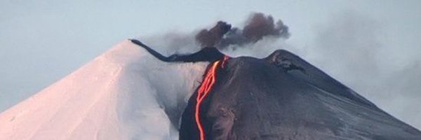 Horrorvacui23 Profile Banner