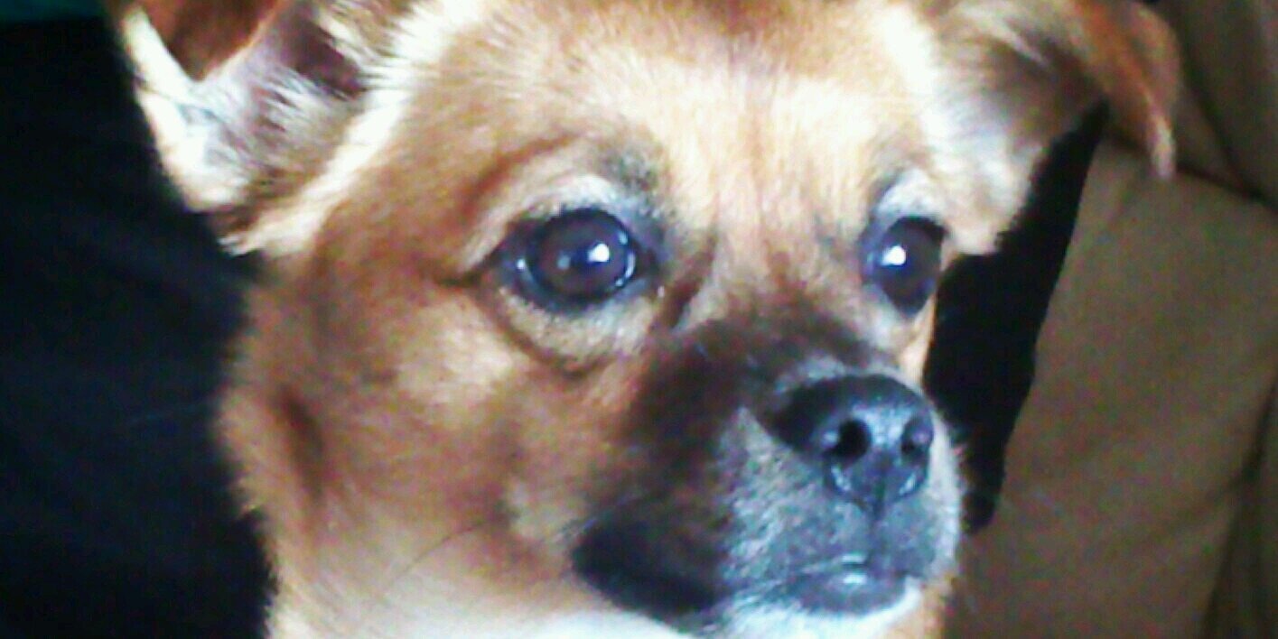sblazvel's profile banner image