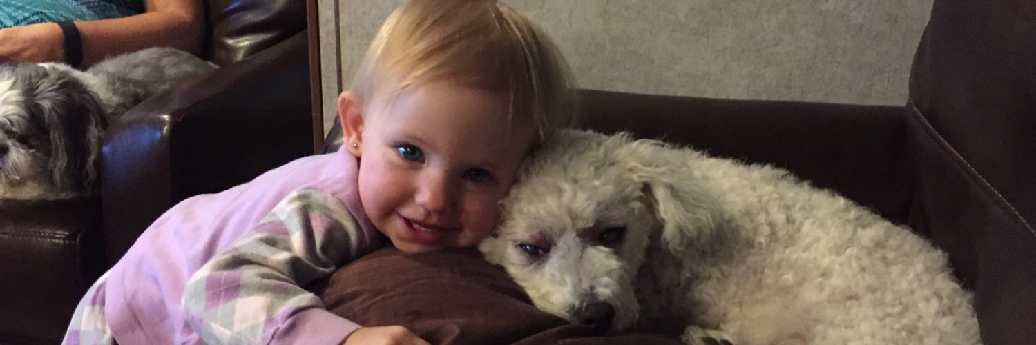 canada_mapleleaf banner