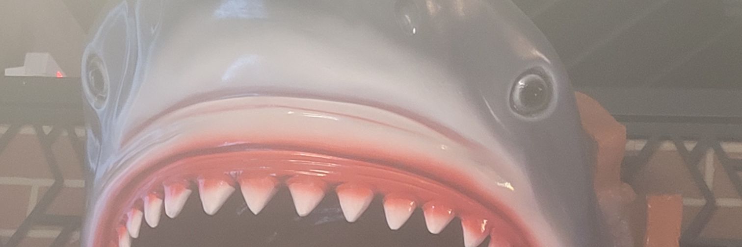 cantgetrightmn's profile banner image