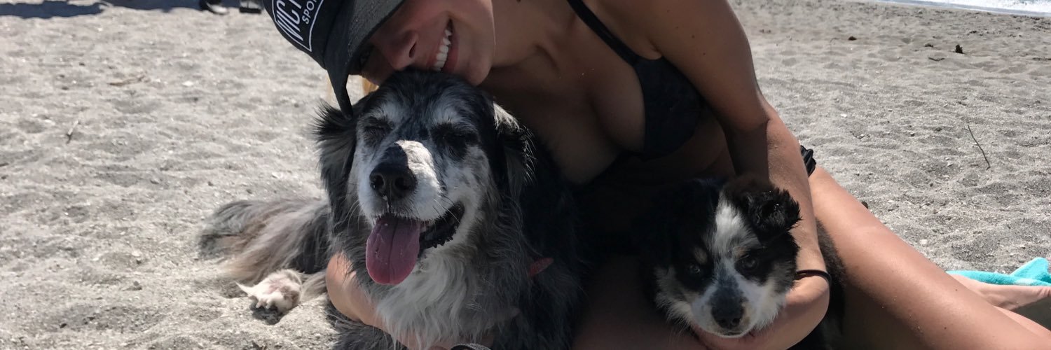 alyengwall's profile banner image
