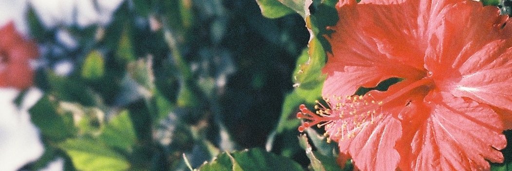 clairedublv's profile banner image