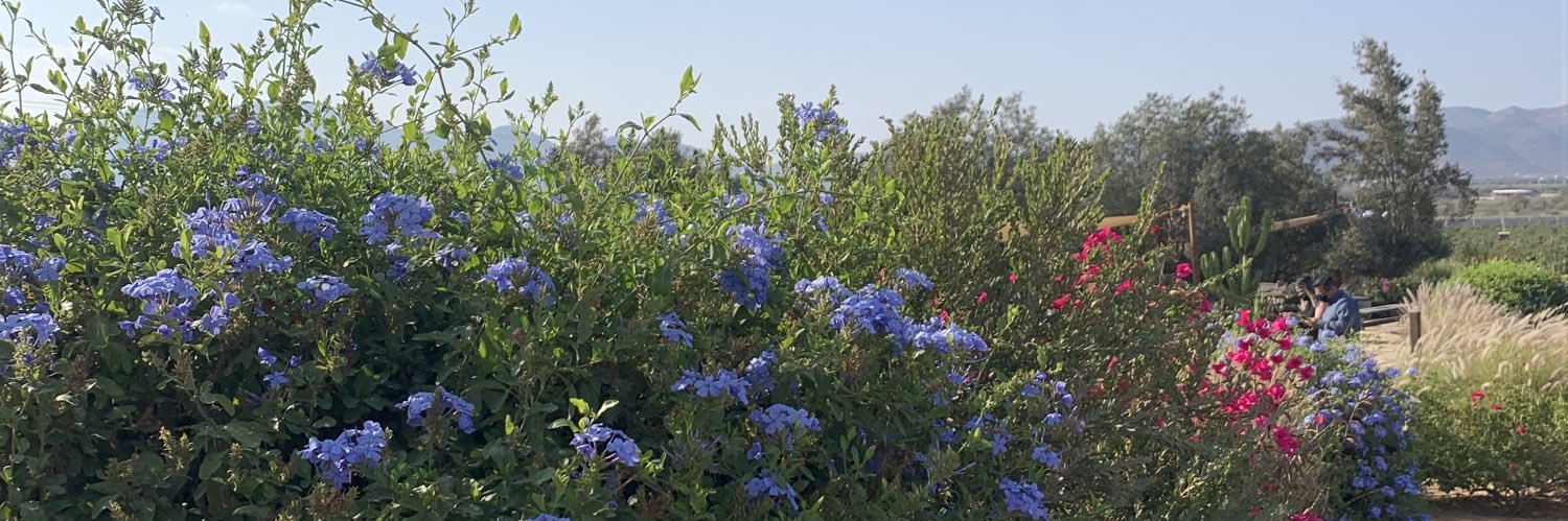 itsshyannee's profile banner image