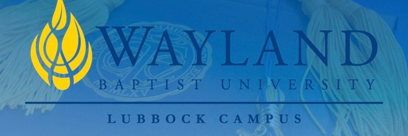 wbulbk's profile banner image