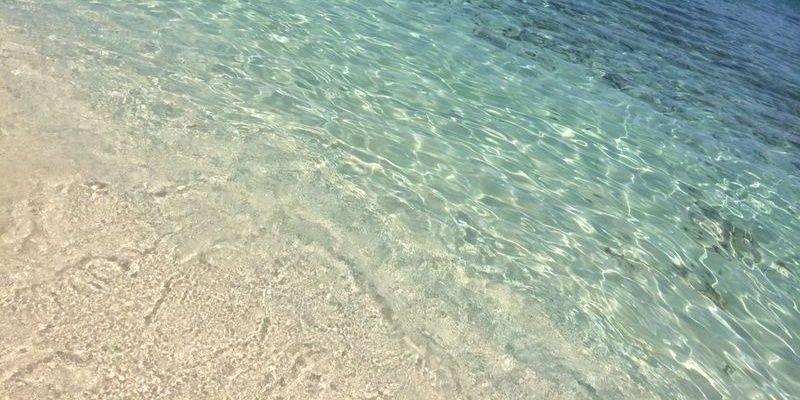 josekoko5's profile banner image