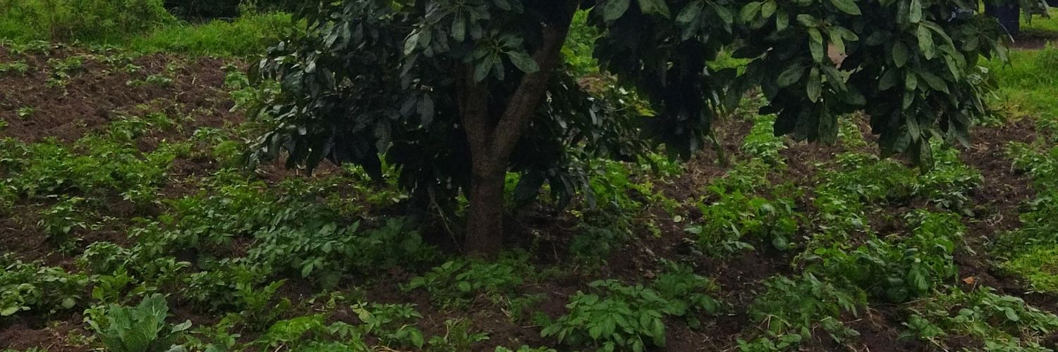 kamaipeters's profile banner image