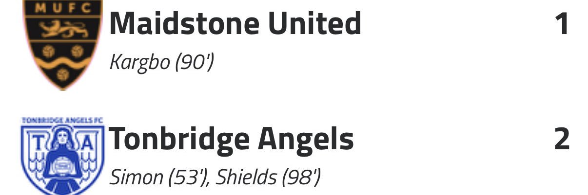 Tonbridge Angels banner