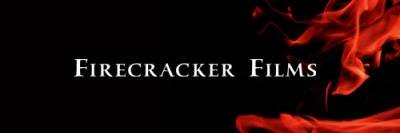 FireTVCasting's profile banner image