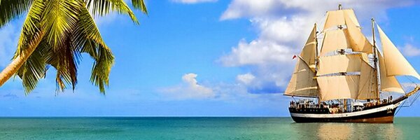 aliyuamuhammad Profile Banner