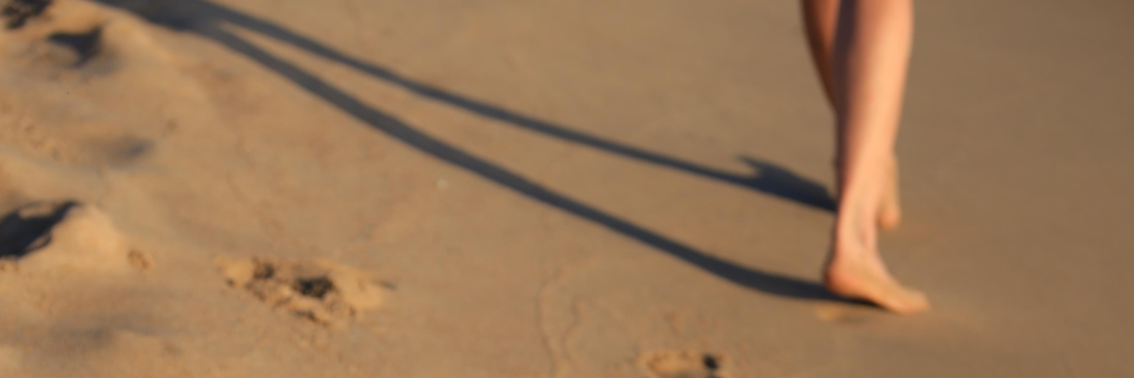 Victoria Maso banner