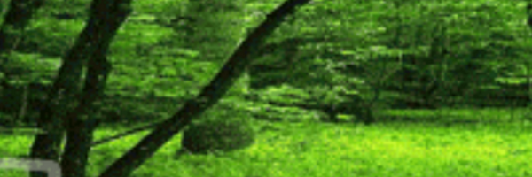 coetfg Profile Banner