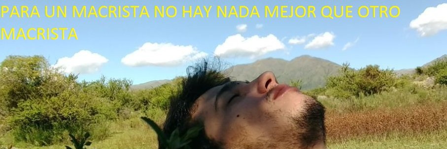 EL CARA (Macrista de Macri )'s banner