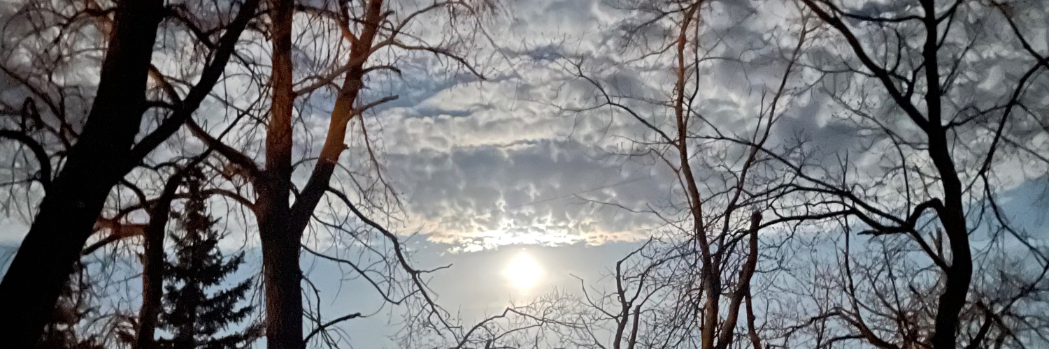 IngridBennett17's profile banner image