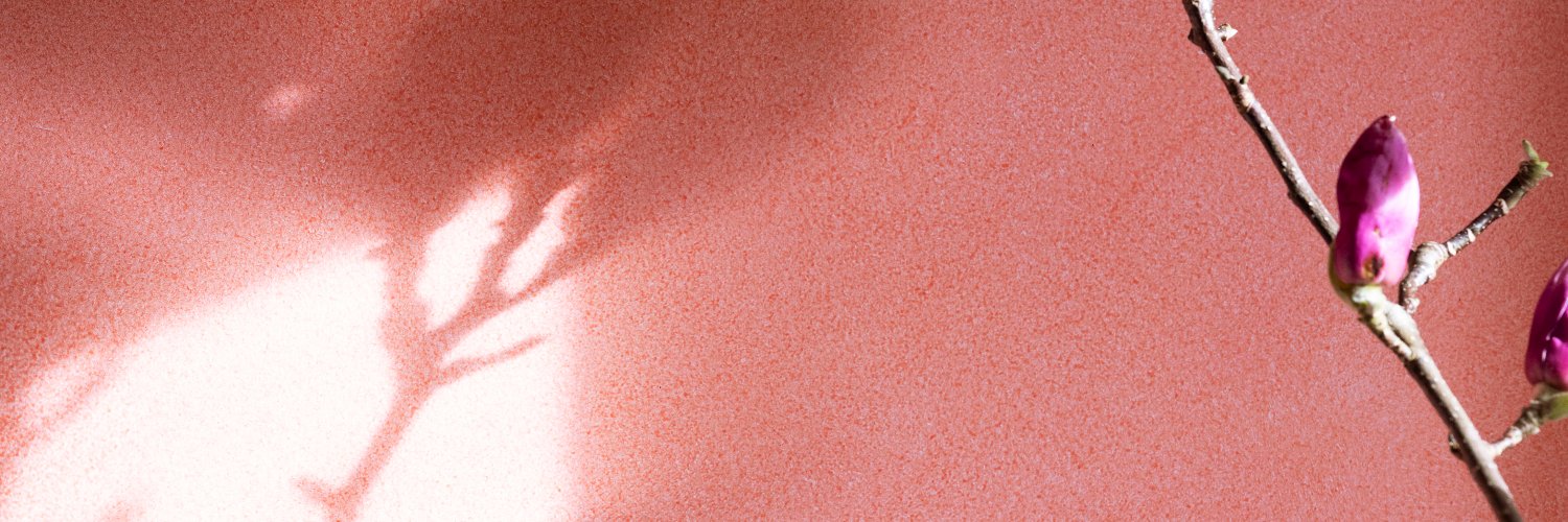rociosga's profile banner image