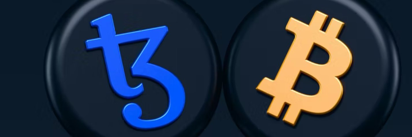 tokencroak's profile banner image