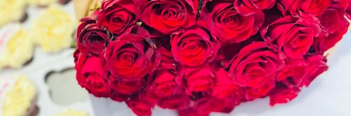 dollface_letso's profile banner image