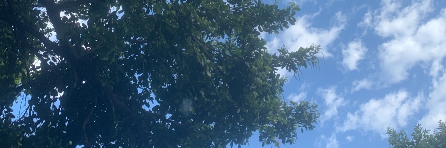 nomsah's profile banner image