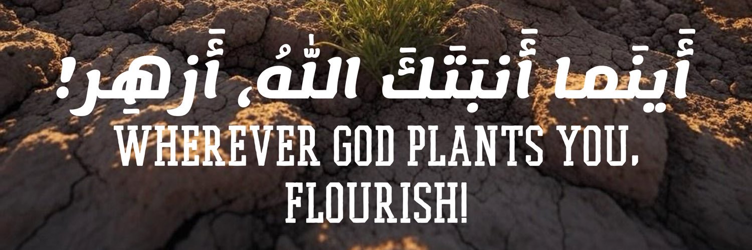 meshmohem1's profile banner image