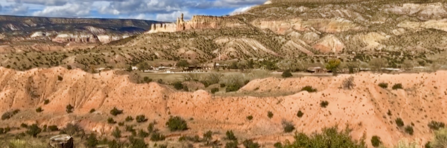 Lesley Cramman banner