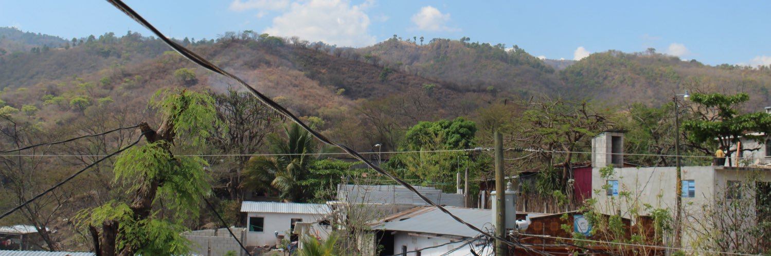 Roy Dixon III banner