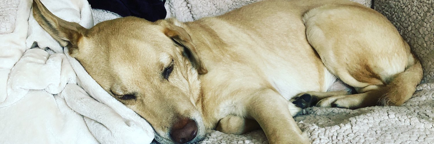 Samantha Chrissie banner