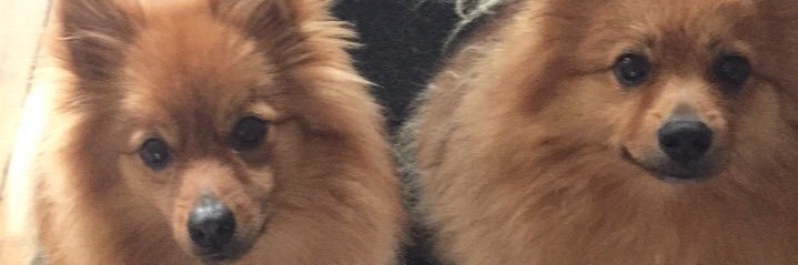 iloveFATM's profile banner image
