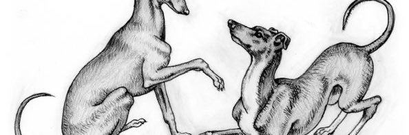 aprilloopz's profile banner image