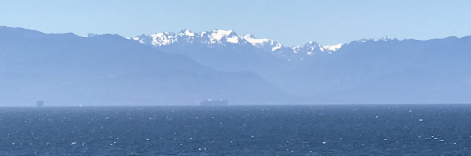 Mario Tremblay banner