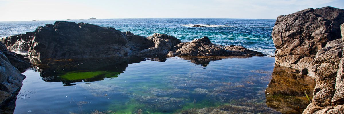 Alan Smith 〓〓 banner