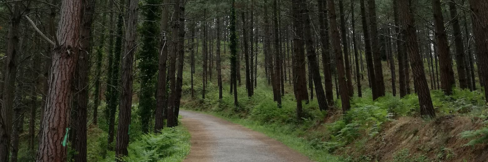aleanaadan's profile banner image